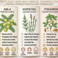 Her•Yang Sacred Lengths Ayurvedic Hair Oil with neem, alma, horsetail, fenugreek, and rosemary for healthy hair benefits.